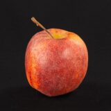 Apple Gala