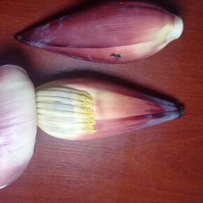 Banana Flower (Mocha)