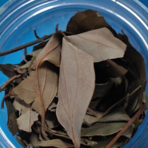 Bay Leaf (Tej Pata)