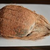 Coconut Brown (Narikel)