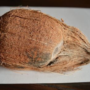 Coconut Brown (Narikel)