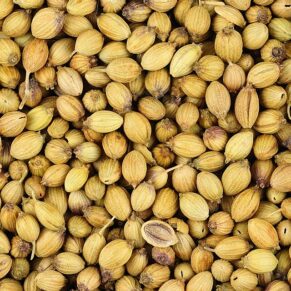 Coriander Seed Whole