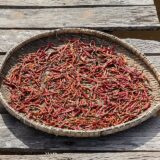 Dry Red Chili Whole (Shukna Morich)