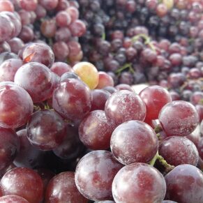 Grapes Black