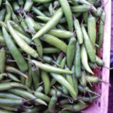 Green Chili (Kacha Morich)