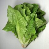 Lettuce