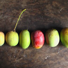 Mango Langra (Seasonal)