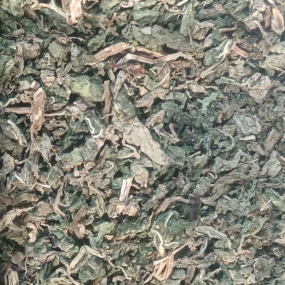 Mint Leaves (Pudina Pata)