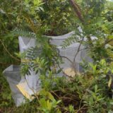Mosquito Net