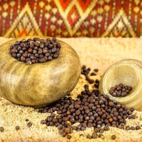Mustard Seed (Shorisha)