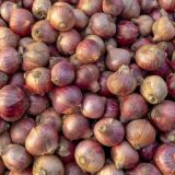Onion Indian