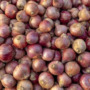 Onion Indian