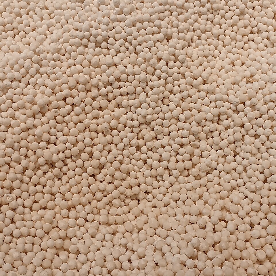 Sago (Sabudana)