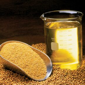 Soybean Oil Loose