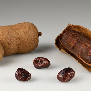 Tamarind (Tetul)